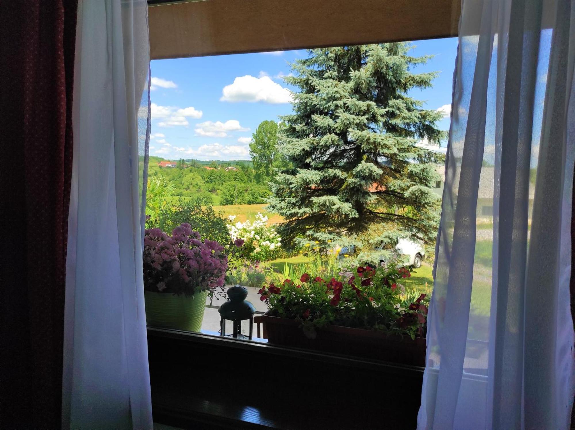 Apartment Stipcic-Mreznicki Brig ドゥガ・レサ エクステリア 写真